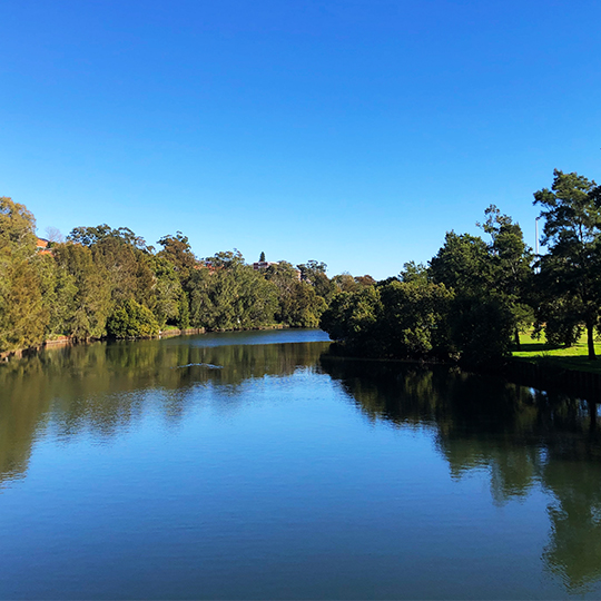 Cooks River History Week 2022 540px_